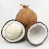 Mộng dừa (mầm dừa) tươi, thơm thơm